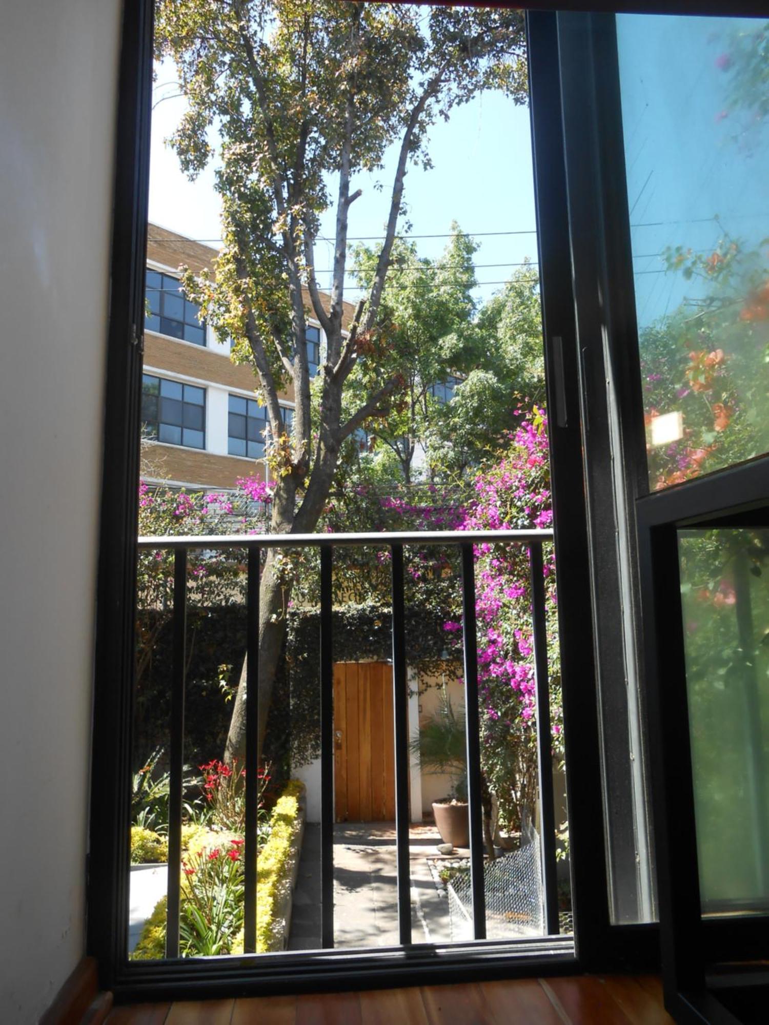 Terraza & Loft San Angel Apartment Ciudad de México Exterior foto