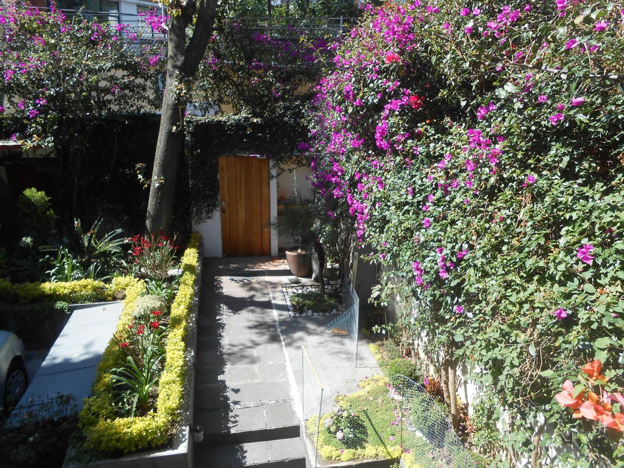 Terraza & Loft San Angel Apartment Ciudad de México Exterior foto