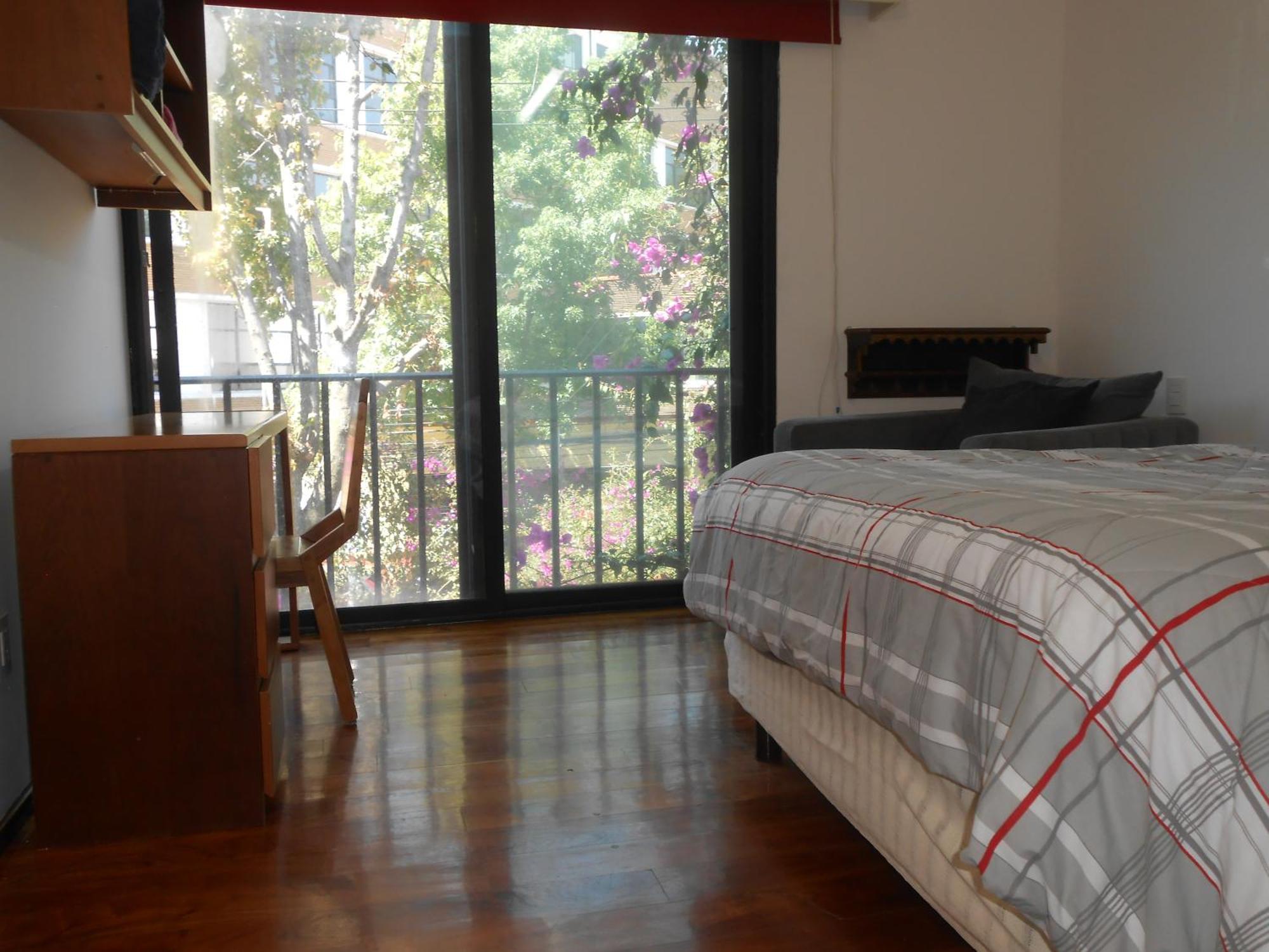 Terraza & Loft San Angel Apartment Ciudad de México Exterior foto