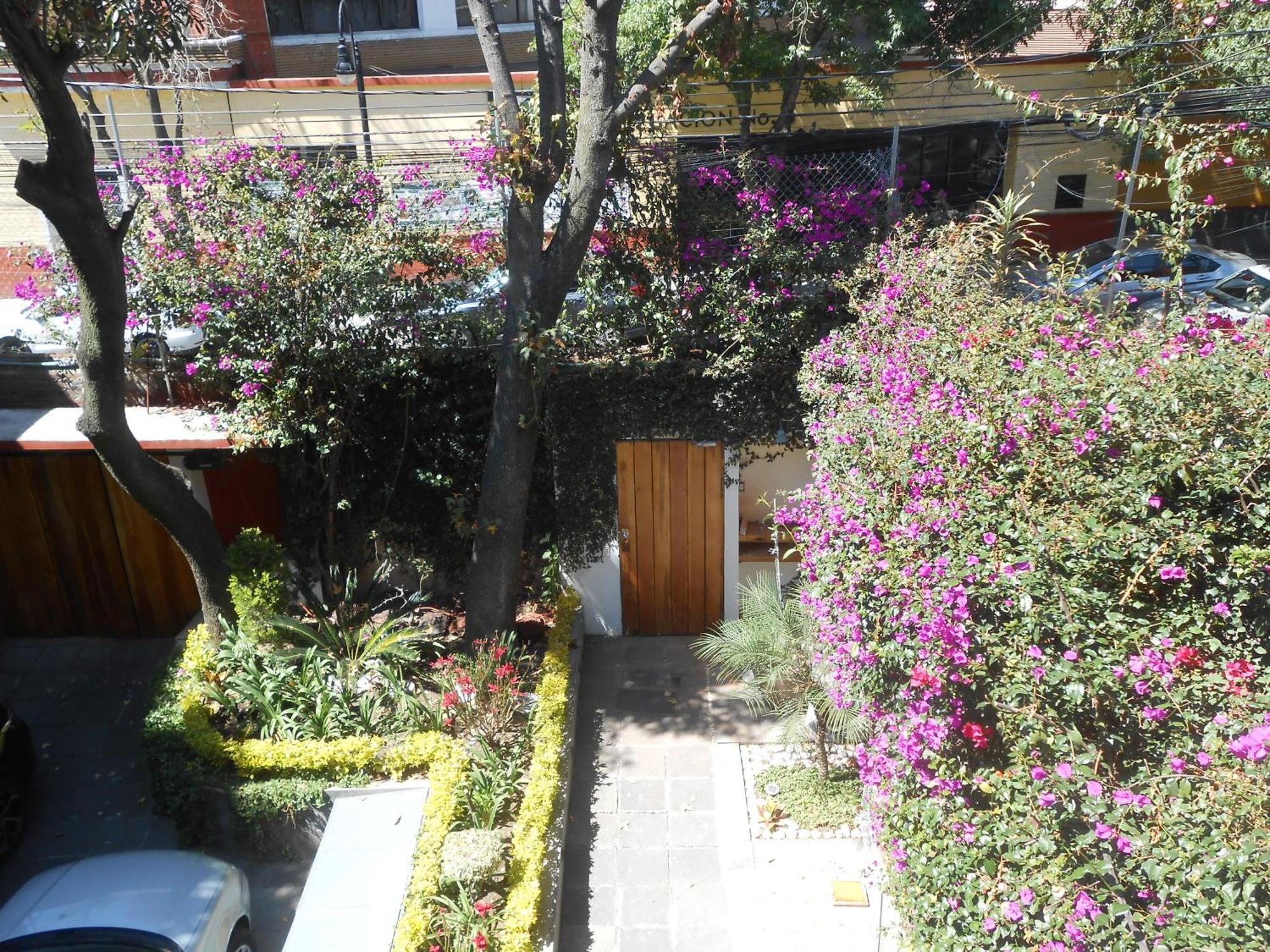 Terraza & Loft San Angel Apartment Ciudad de México Exterior foto
