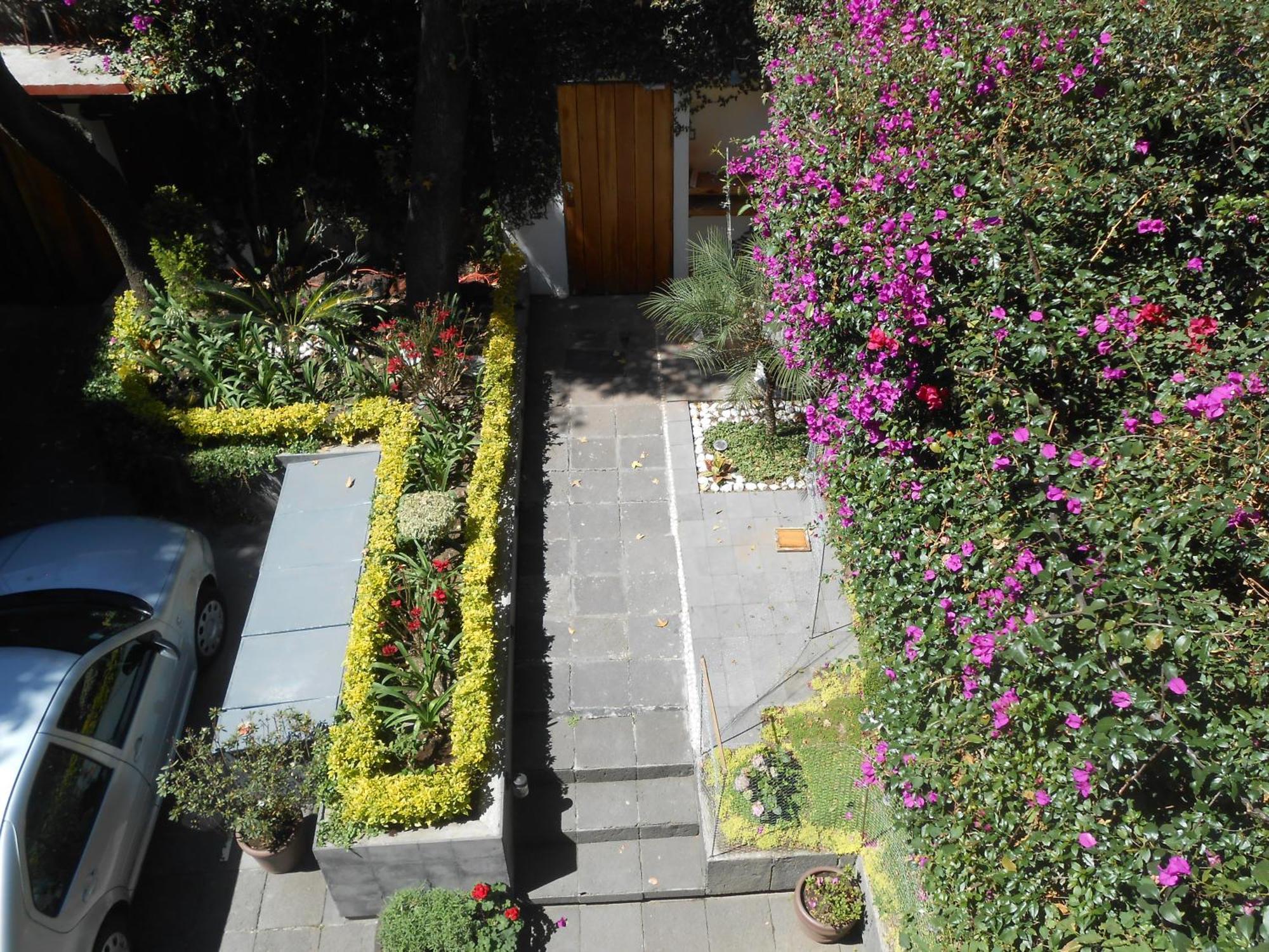 Terraza & Loft San Angel Apartment Ciudad de México Exterior foto
