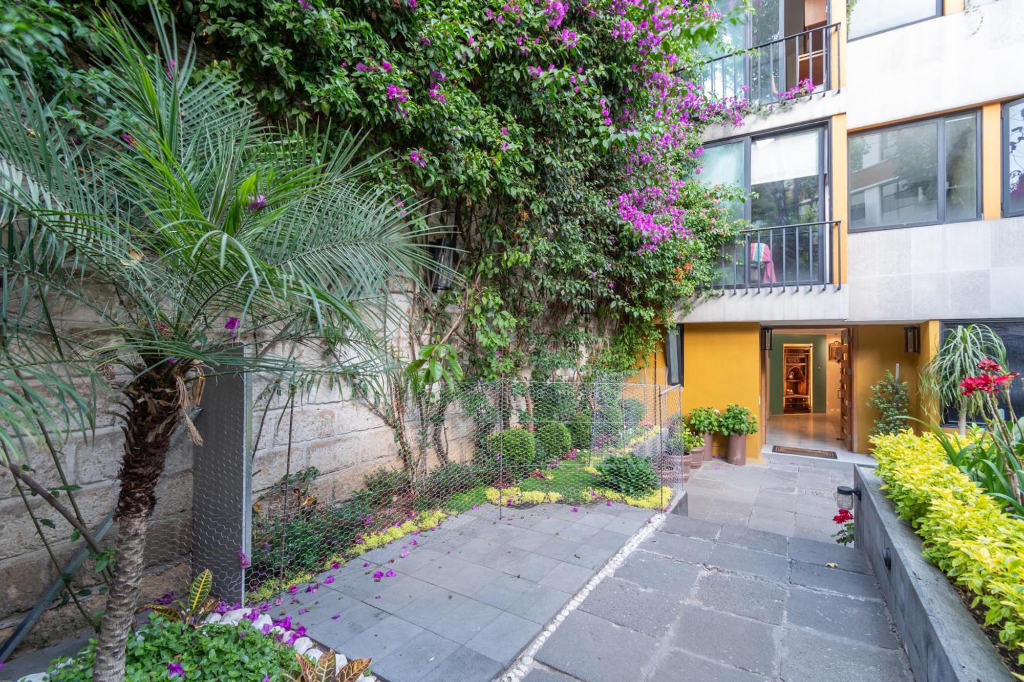 Terraza & Loft San Angel Apartment Ciudad de México Exterior foto