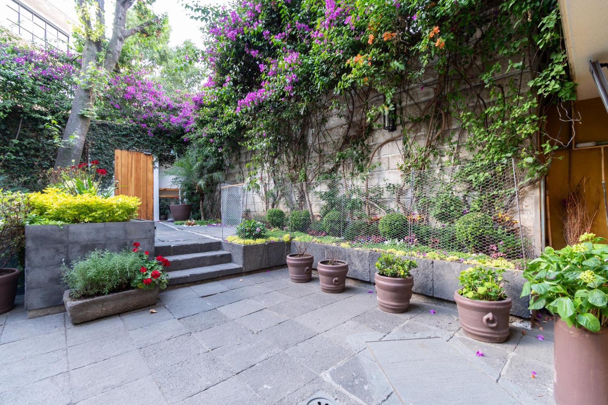 Terraza & Loft San Angel Apartment Ciudad de México Exterior foto
