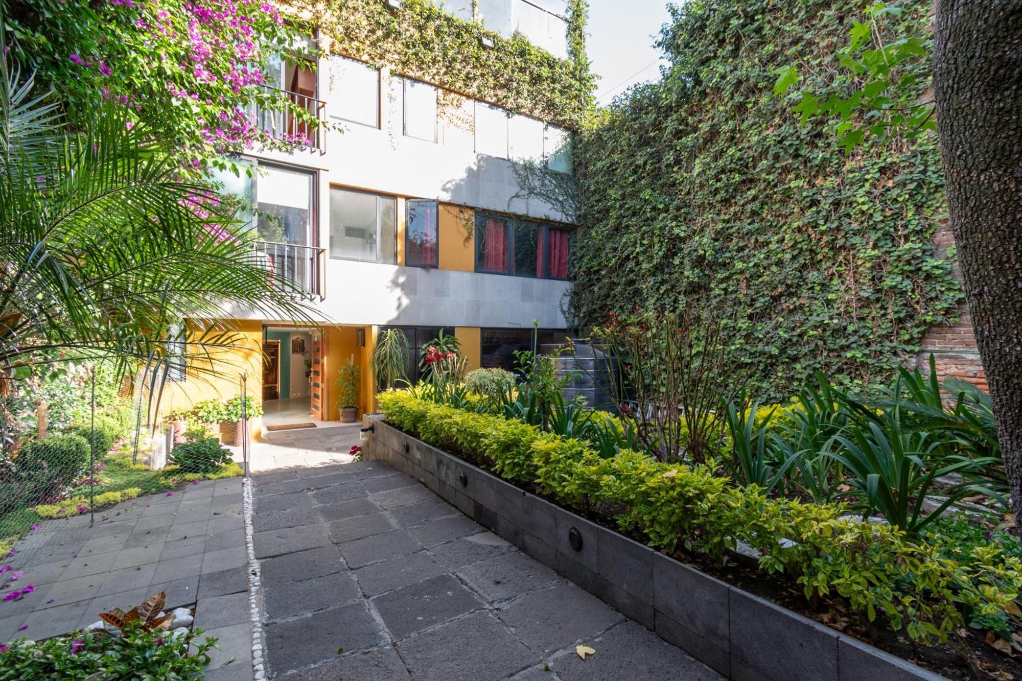 Terraza & Loft San Angel Apartment Ciudad de México Exterior foto